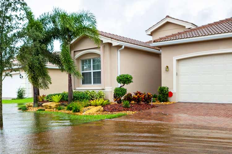 Minimize Your Flood Risk